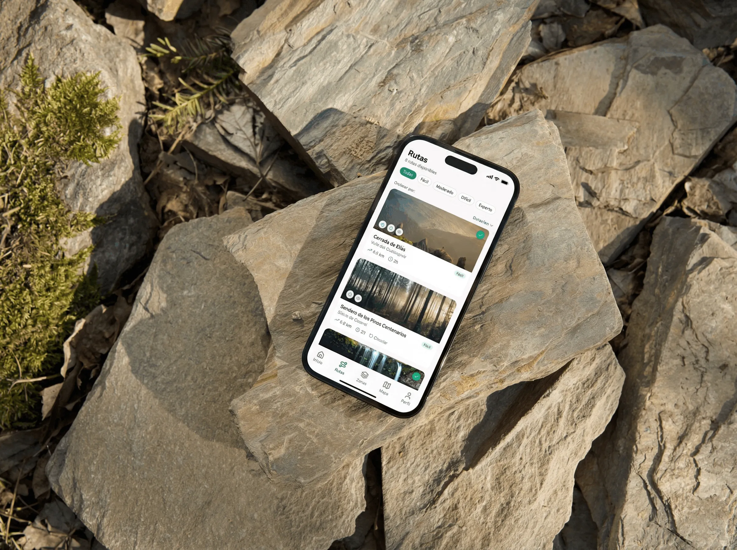 Aplicación de rutas para mejorar la experiencia del usuario